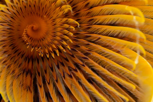 Responsible Business | Pro Bono | Legal Services