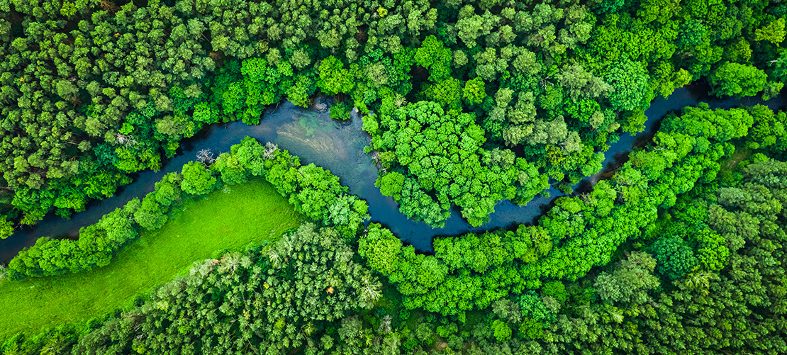 Stephenson Harwood launches ESG White Paper: 'From Uncertainties to Opportunities: How lawyers can support Asia’s transition to a low-carbon economy'