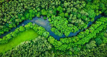 Milieudefensie et al. v Royal Dutch Shell plc: Dutch Appeal Court puts the onus back on climate policymakers
